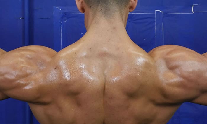 5 exercises for big shoulder muscles