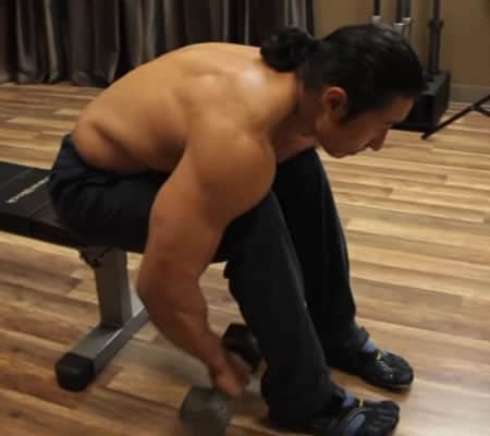 Mike Chang Bent Over Laterals - Step 2