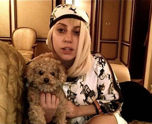 Lady Gaga Loves Dogs