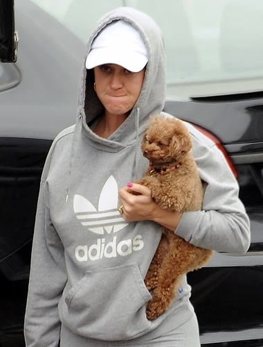 Katy Perry walking her poodle without makeup