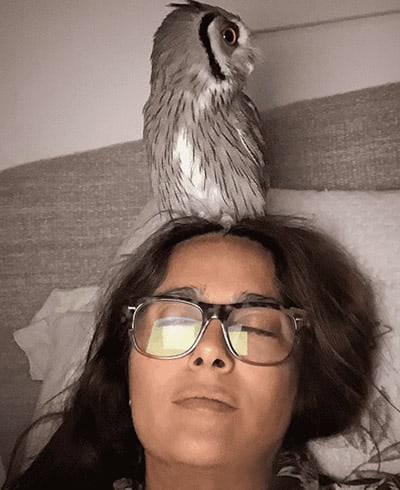 Salma Hayek pet owl standing on her head while she's sleeping