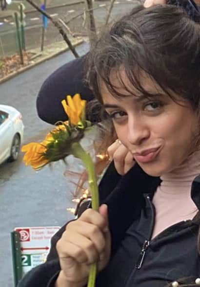 Camila Cabello likes sunflower