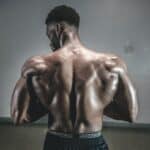 The Anatomy of the Back