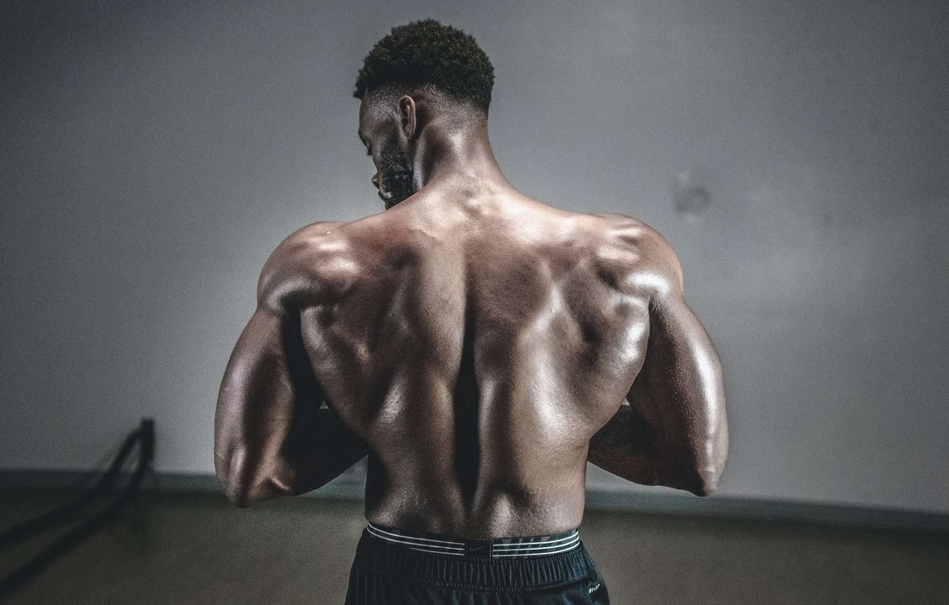 The Anatomy of the Back
